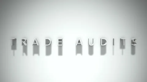 Trade audits 3D title animation with shadows on a white background Stock Footage 297856411