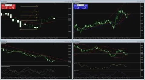 Trade terminal Stock Footage 56230176