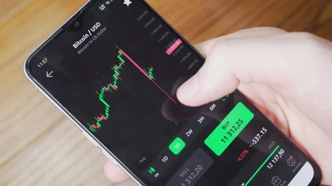 A Trader Looks at The Bitcoin Cryptocurrency Chart on a Cell Phone Screen. Onlin Stock Footage 136510615