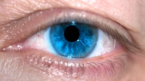 Traders eye Stock Footage 210536889