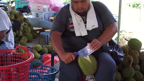 Traders opened the durian shell Stock-Footage 137569223