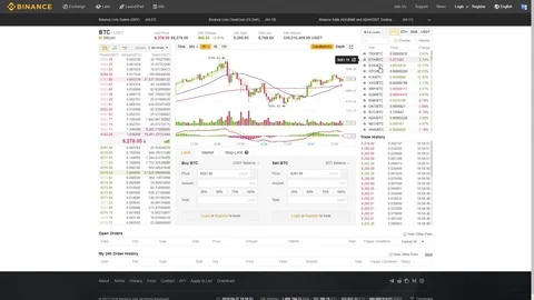 Trading Bitcoin on the World Biggest Exchange Site ''Binance'' on 27 April 2018 Stock Footage 89014832