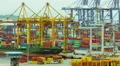 trading port cargo, hoisting cranes, trucks, big activity timelapse HD Footage