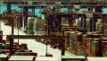trading port cargo, hoisting cranes, trucks, big activity timelapse HD Footage