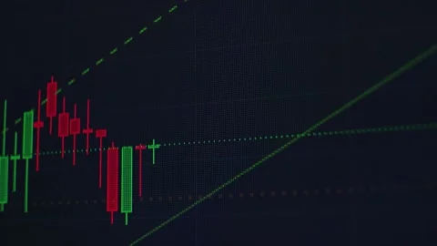 Trading on the stock exchange. Uptrend 動画素材 169106955