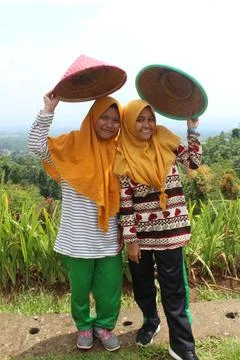Tradisional Stock Photos