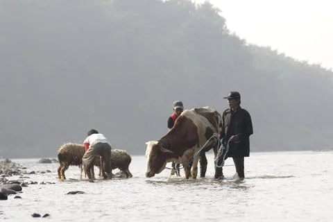 TRADITION Stock Photos