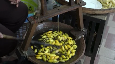 Tradition silk making process, building ... | Stock Video | Pond5