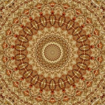 Traditional ajrakh floral pattern for digital printing Stock Illustration