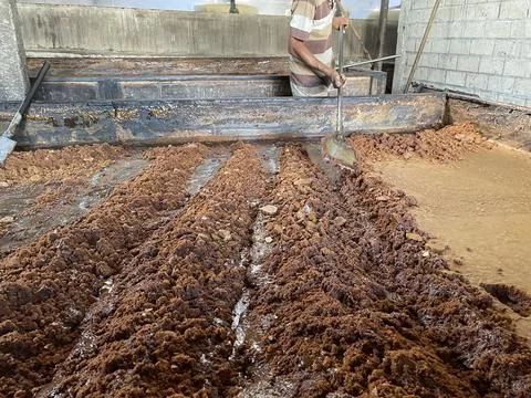 In the traditional and natural process of processing brown sugar Stock Photos