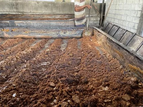 In the traditional and natural process of processing brown sugar Stock Photos