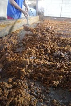 In the traditional and natural process of processing brown sugar Stock Photos