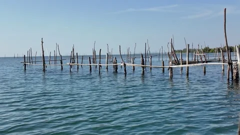 Traditional bamboo oyster farm structures in the blue sea under clear sky Stock Footage 332292553
