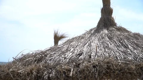 Traditional beach parasol Stock Footage 128351953