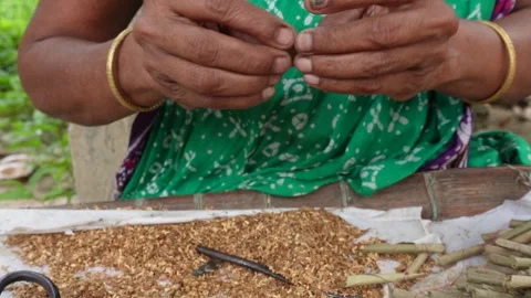 Traditional beedi rolling Stock Footage 342277554
