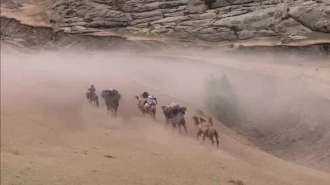 Traditional Camel Migration with Loaded Animals Kicking Dust in Xinjiang, China Stock-Footage 337857428