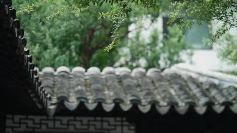 Traditional Chinese Garden with Classical Eaves and Serene Courtyard Stock Footage 341877452
