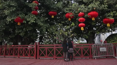Traditional Chinese Red Lantern Hanging On Tree, celebrating Chinese New Year Video stock 59122479