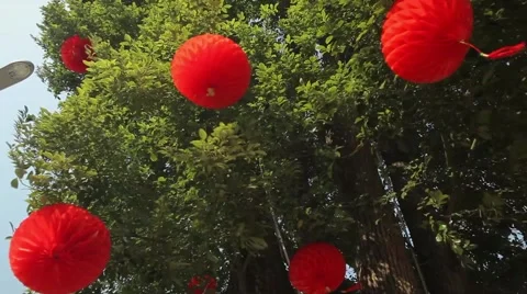 Traditional Chinese Red Lantern Hanging On Tree, swaying in the wind Video stock 59134061