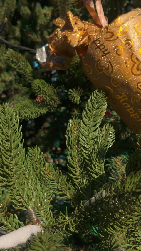 Traditional Christmas decorations on an evergreen tree on city park in bright Stock Footage 345863264