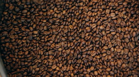 Traditional coffee roaster cooling off fresh roasted coffee beans Stock Footage 61052430