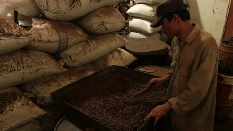 Traditional Coffee Roastery Stock Footage 73331107
