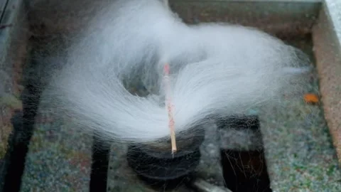 Traditional cotton candy making process Stock Footage 272930287