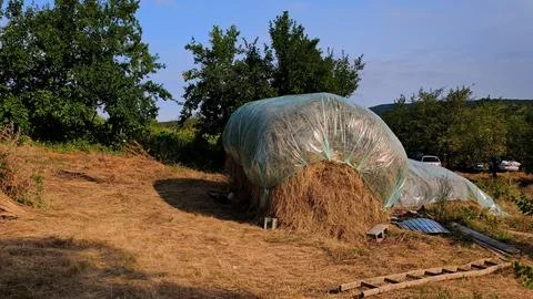 Traditional Covered Haystack Protected with Plastic Tarp in Rural Village Stock Photos