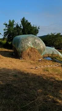 Traditional Covered Haystack Protected with Plastic Tarp in Rural Village Stock Photos