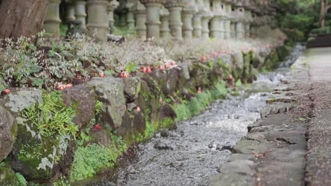 Traditional Daruma dolls are placed among rocks and flowing water at Katsuoji Stock Footage 344280744