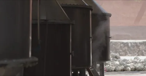 Traditional Distillery Tequila Stock Footage 245759965