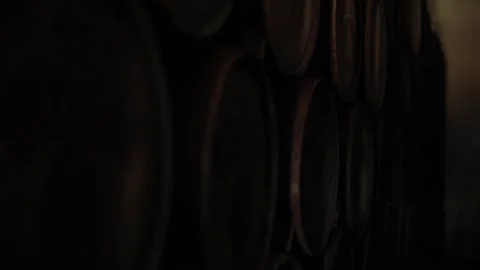 Traditional Distillery Tequila. Stock Footage 246328296