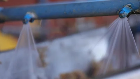 Traditional Distillery Tequila. Stock Footage 246328352
