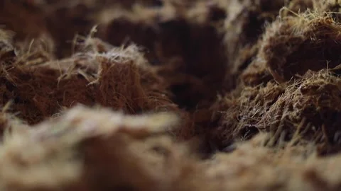 Traditional Distillery Tequila. Stock Footage 246328480