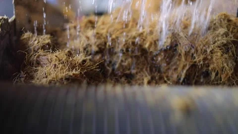 Traditional Distillery Tequila. Stock Footage 246328486