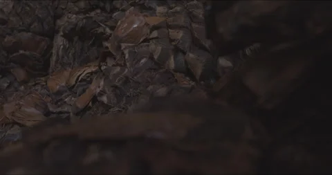 Traditional Distillery Tequila. Stock Footage 246331073