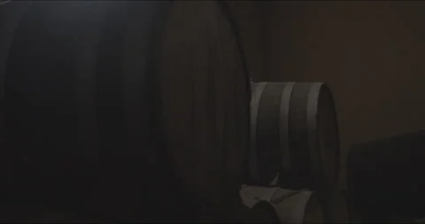 Traditional Distillery Tequila. Stock Footage 246331606