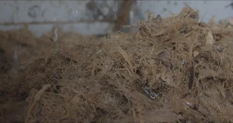 Traditional Distillery Tequila. Stock Footage 246333345