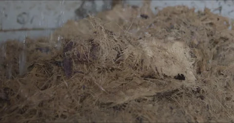 Traditional Distillery Tequila. Video stock 246333386