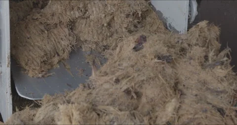 Traditional Distillery Tequila. Stock Footage 246333745