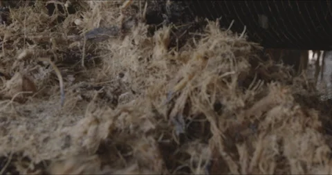 Traditional Distillery Tequila. Stock Footage 246333772