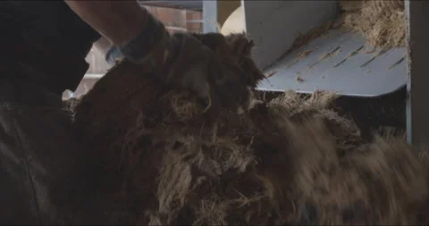 Traditional Distillery Tequila. Stock Footage 246333779