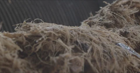 Traditional Distillery Tequila. Video stock 246333791