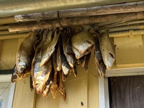 Traditional dried fish hanging on a string under a wooden roof. Rustic prepar Stock Photos