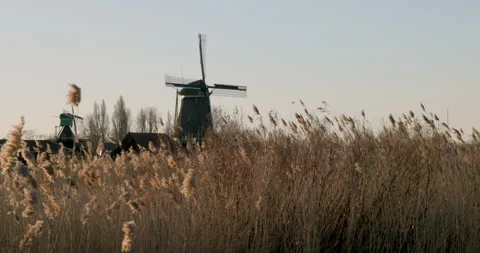 Traditional Dutch windmills Stock Footage 304469976