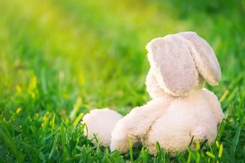 Traditional Easter bunny Stock Photos