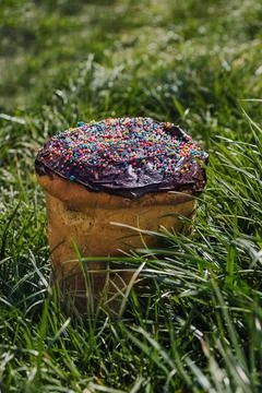 Traditional easter cake with chocolate in the grass, top view, copy space Stock Photos