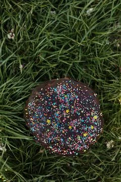 Traditional easter cake with chocolate in the grass, top view, copy space Stock Photos