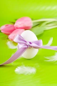 Traditional easter egg decoration with tulips and ribbon Stock Photos