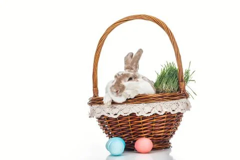 Traditional easter eggs wicker basket Stock Photos